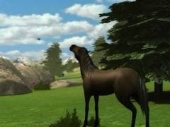 😎Abenteuer auf dem Reiterhof  Das schwarze Wildpferd     DS