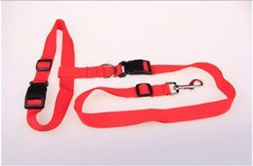 Guinzagli & Collari: Rot Laufleine Hundeleine Jogging Walking Wander – Nuovo (secondo la descrizione) da Kirchdorf AG venduto da Apost008 2