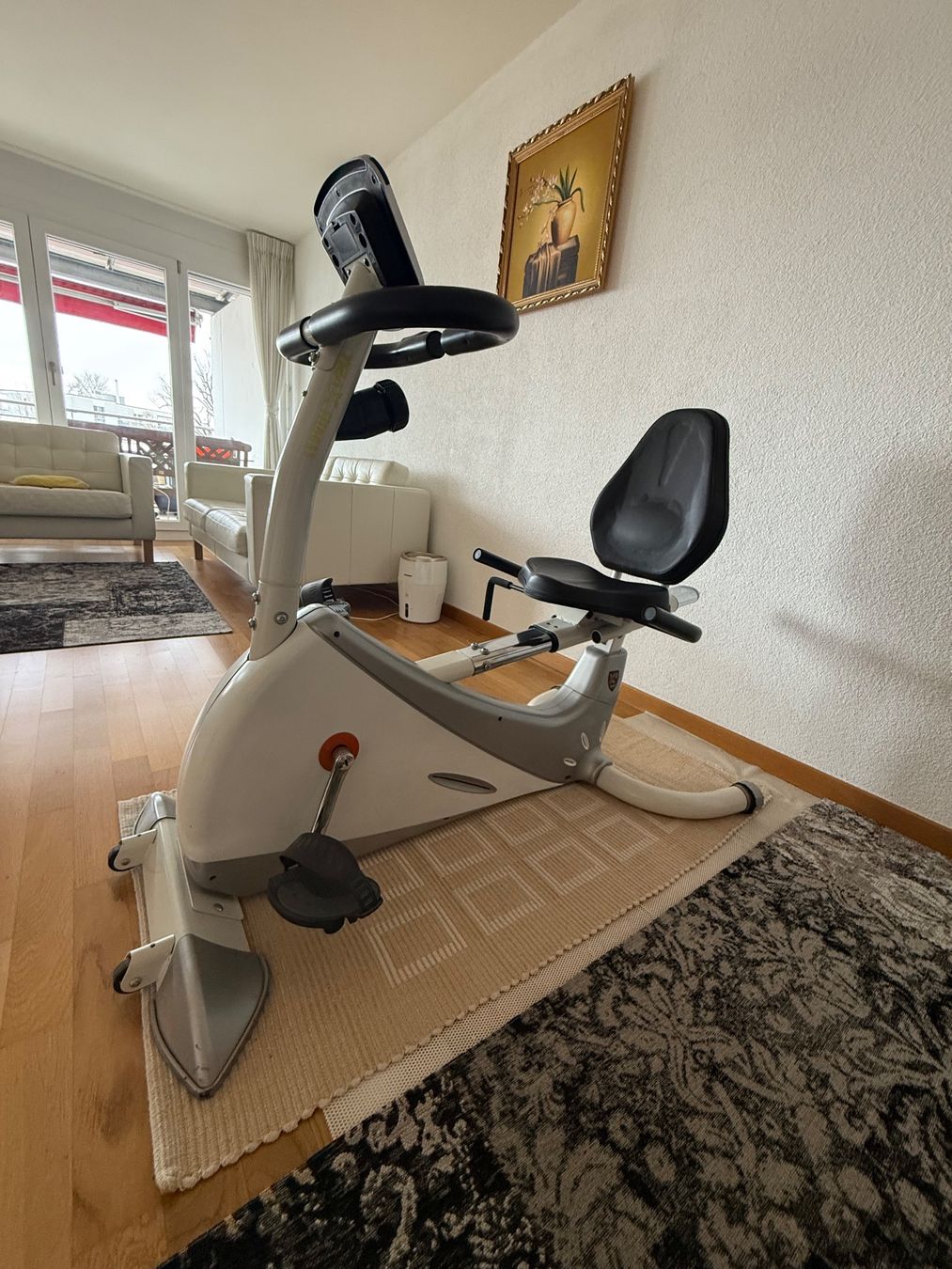 Hometrainer: Fitness Velo – Usato da Dietlikon venduto da RolfSurber 3