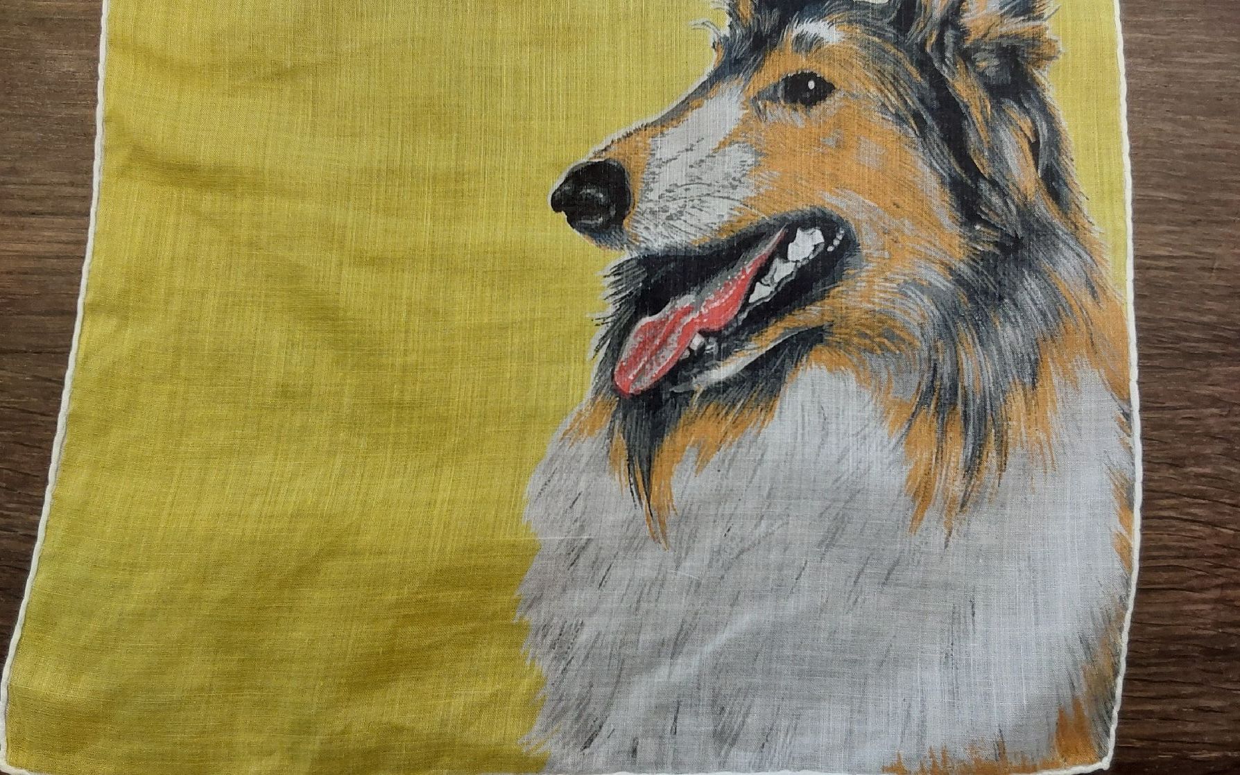 Altro in  Abbigliamento & Accessori: Taschentuch Motiv Hund – Nuovo (secondo la descrizione) da Köniz venduto da scopello12 1