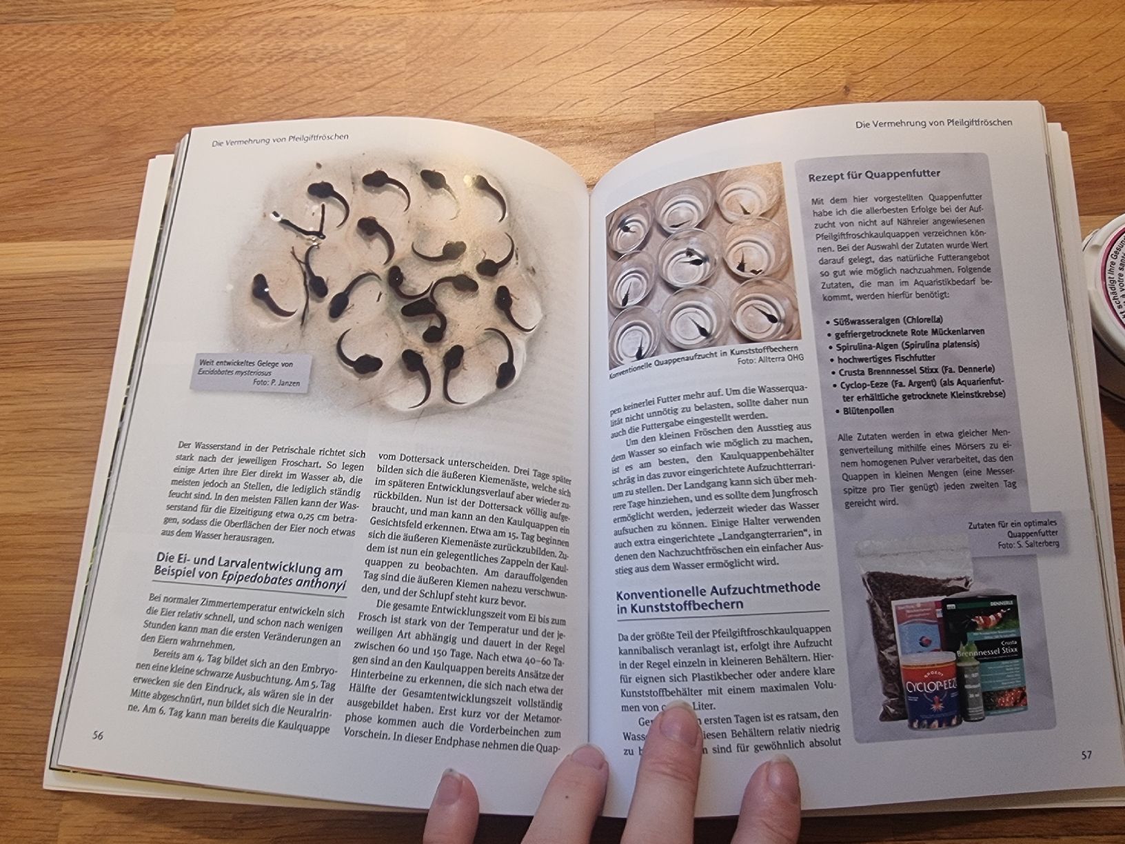 Livres: Faszinierende Pfeilgiftfrösche – Neuf (Voir description) à Derendingen par Sarah.jana 2