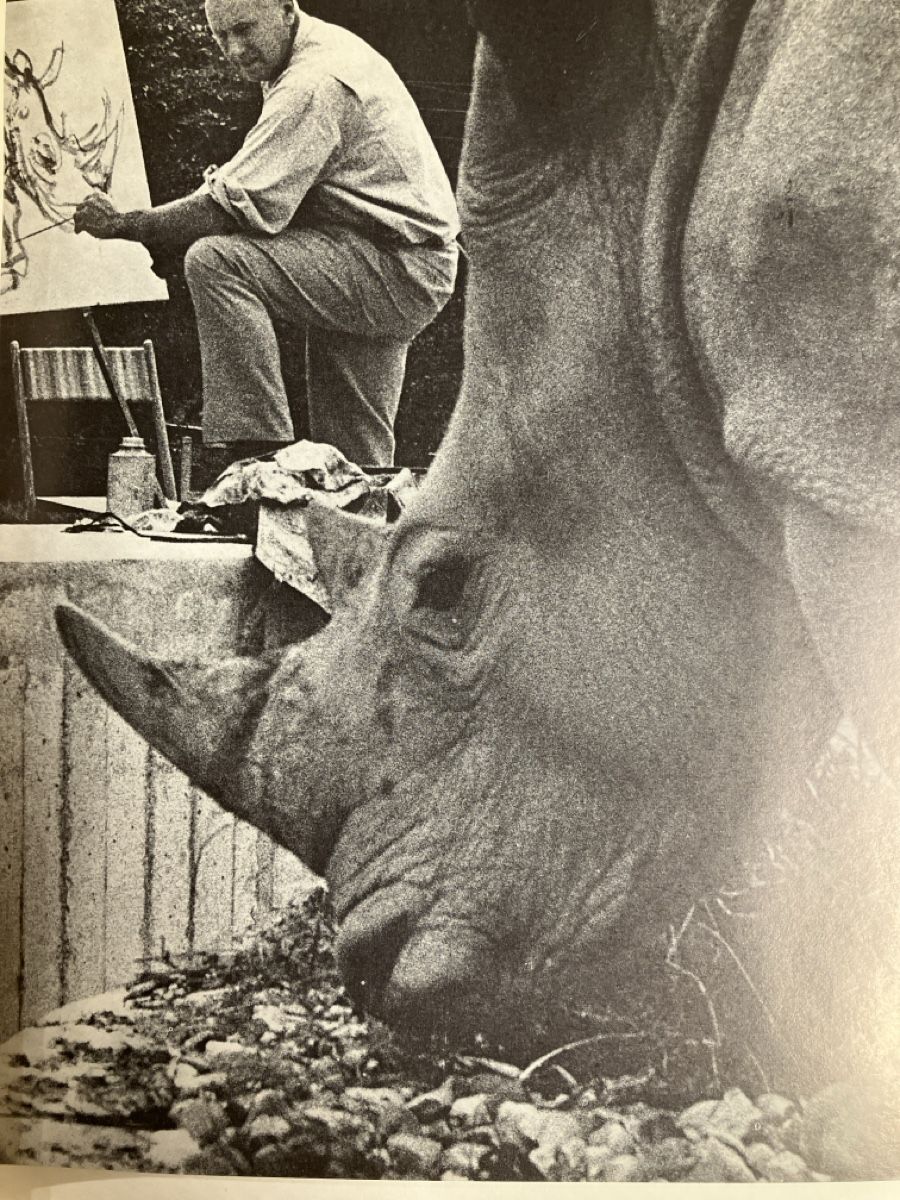 Libri: Fritz Hug Maler der Tiere Buch – Usato da Erlenbach im Simmental! venduto da Simmentaler-Perlen 6