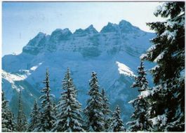 Dent du Midi