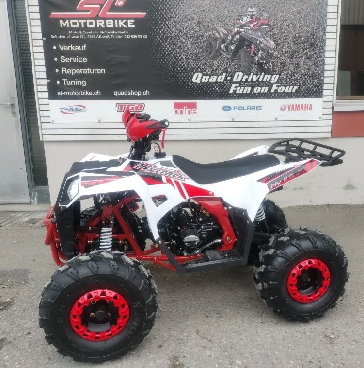 Hytrack Hy 110 ST (Neu (gemäss Beschreibung)) in Attiswil für CHF 1890 ...