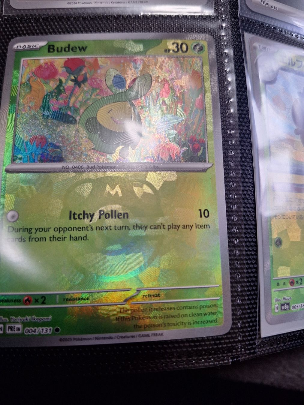 Pokémon Carte collezionabili: Pokemon Masterball/Pokeball Kollektion – Usato da Stansstad venduto da saschaz88 1