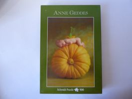 A. Geddes Puzzle: Kürbisblüte, 500 Teile