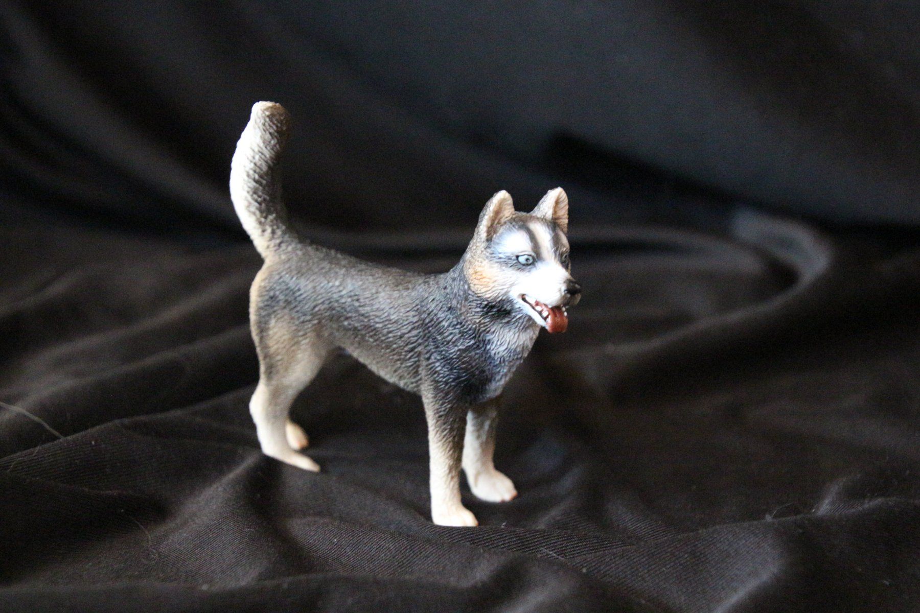 Schleich Jouets: Schleich Husky – Neuf (Voir description) à Eschlikon TG par Spitzmuus