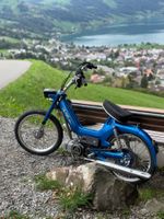 Puch Maxi S Neu Aufgebaut