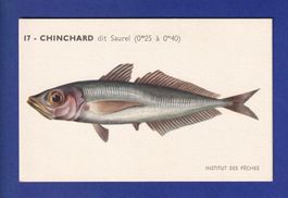 Poisson - CHINCHARD dit Saurel