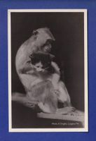 CHAT - Calin avec un singe