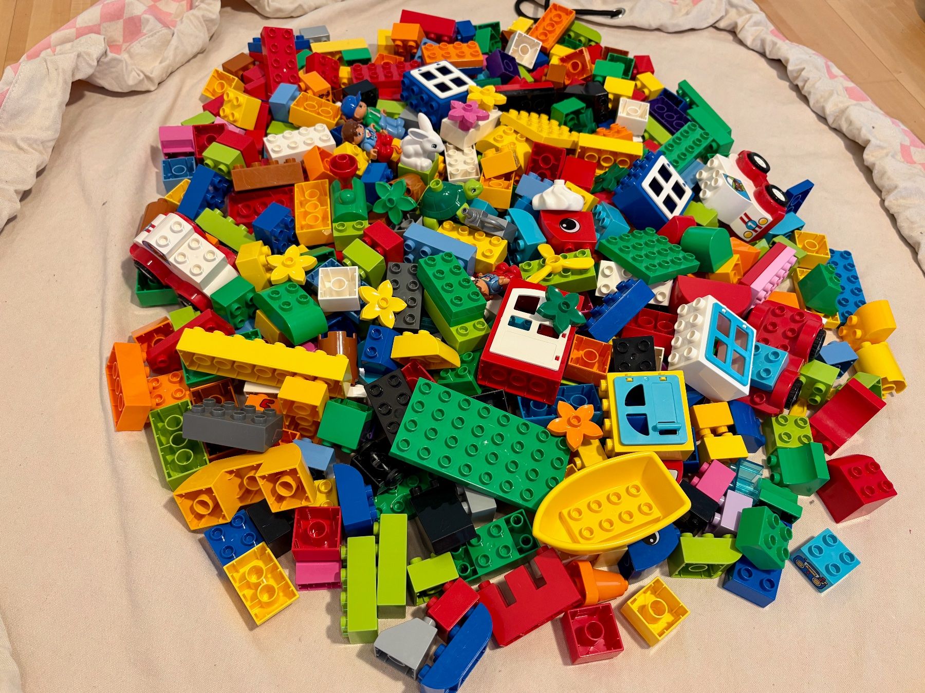 Lego Giocattoli: Duplo-Sammlung mit play&go-Spielzeugsack – Usato da Zürich venduto da AxNy 2