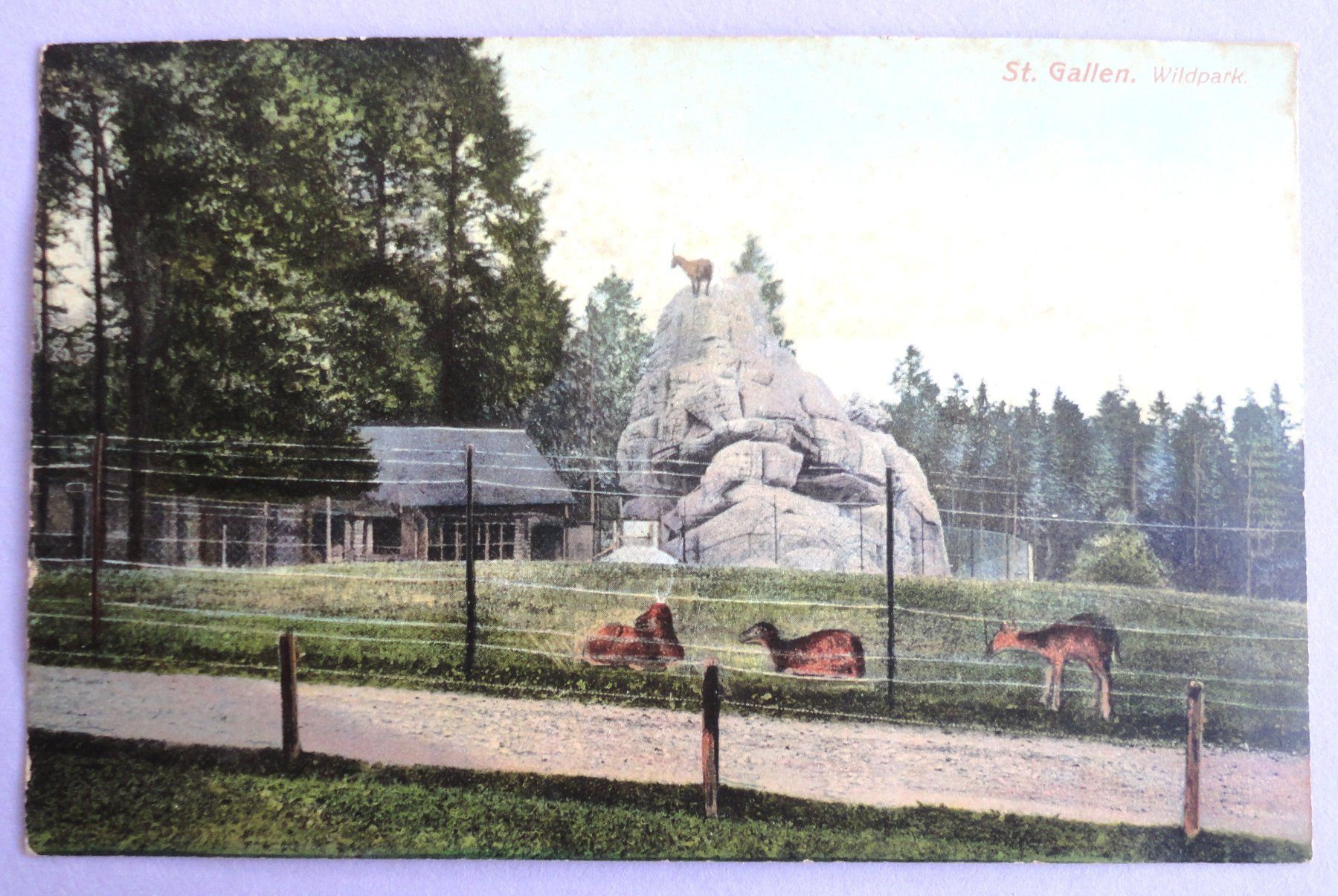 Cartoline postali: St. Gallen, Wildpark – Difettoso da Fétigny venduto da Billy2miny