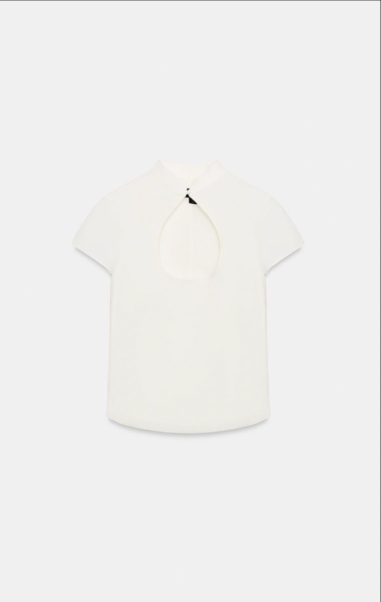 Zara T-shirts: Zara shirt  – Neuf avec emballage d'origine à Opfikon par aro_f66t 3