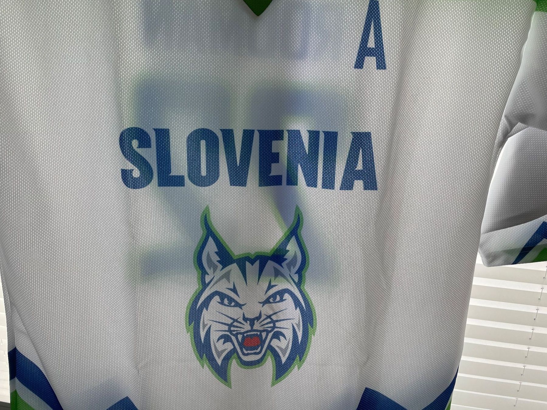 Leibchen & Hosen: Eishockey Trikot – Neu (gemäss Beschreibung) aus Hünenberg von bahnsidi 2