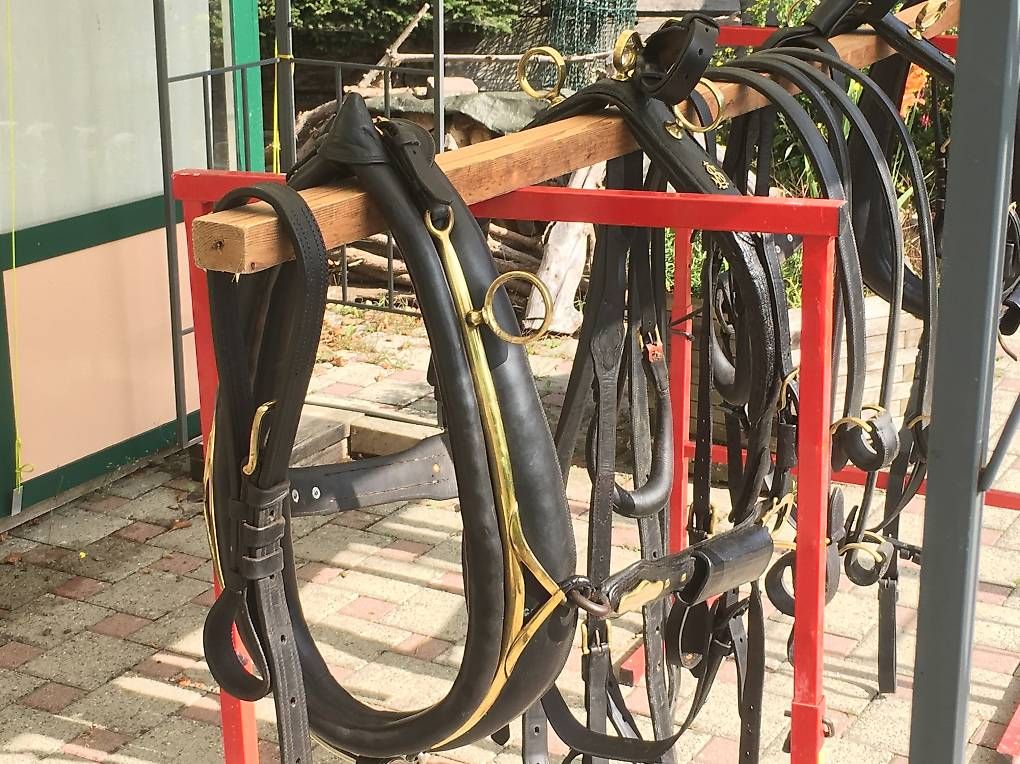 Kletterausrüstungen: Colliers anglais attelage – Gebraucht aus Romont FR von acmoi55 1