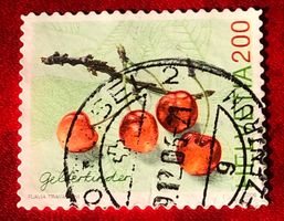 CH Briefmarken Vollstempel   