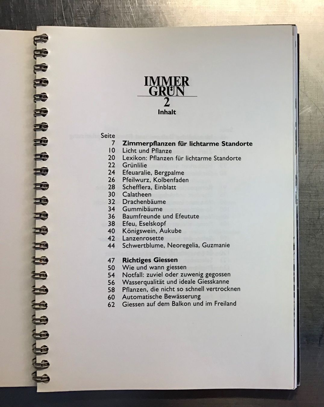 Libri: Betty Bossi: IMMER GRÜN 2 – Usato da Bubendorf venduto da Alpenheidi 3