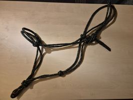 Knotenhalfter Kaltblut