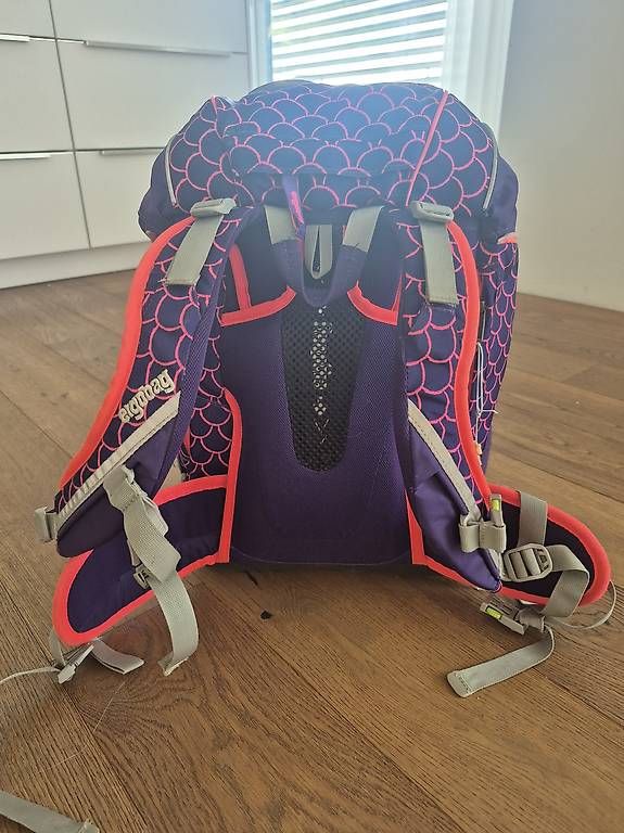Borse & Zaini: Ergobag Schulranzen – Usato da Bazenheid venduto da wirbel71 1