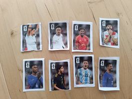8 Cola Fifa Stickers
