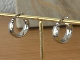 Luxus Elegante Creolen Edelstahl Ohrstecker Farbe Silber