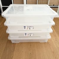 Rotho Aufbewahrungsbox mit Rollen 50L 4 Stk.