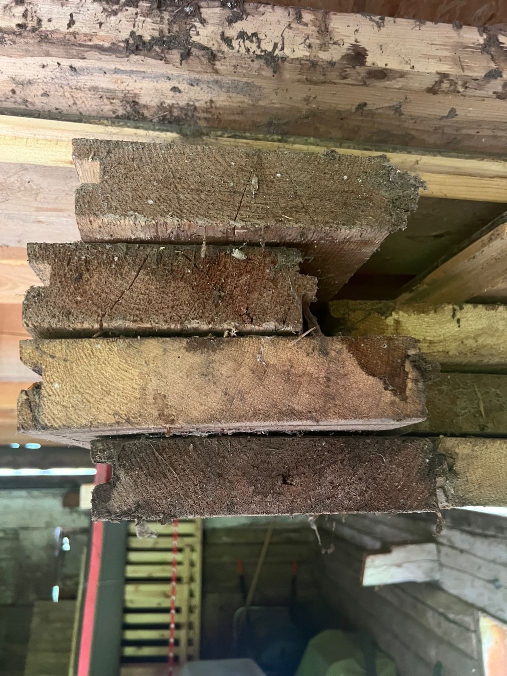 Articoli in legno: Antike Bodenriemen Fi/Ta 50mm – Usato da Madiswil venduto da Thekus 4