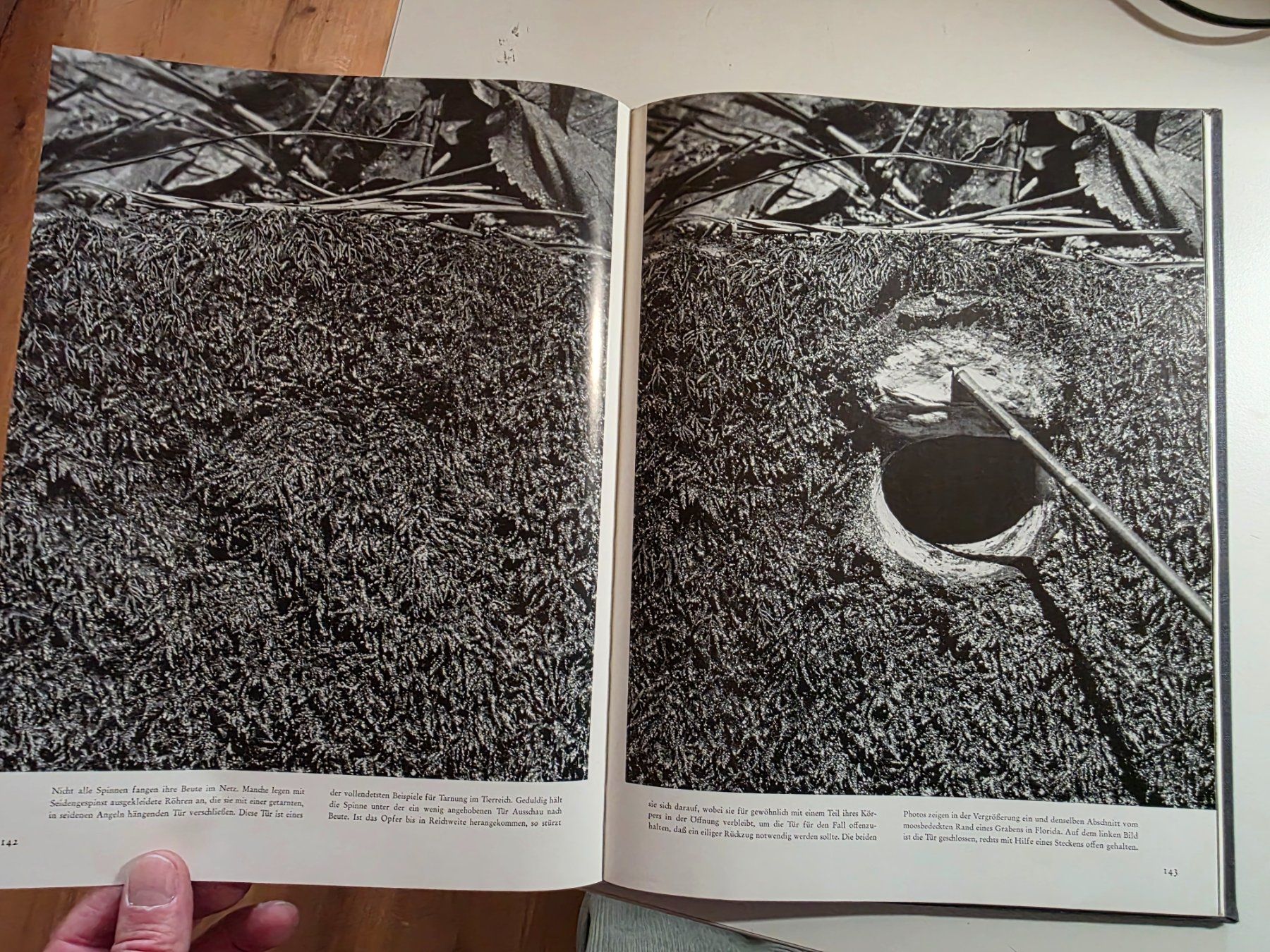 Libri: Das Antlitz der Natur - Andreas Feininger - 1957 – Usato da Walterswil BE venduto da Lonitti 3