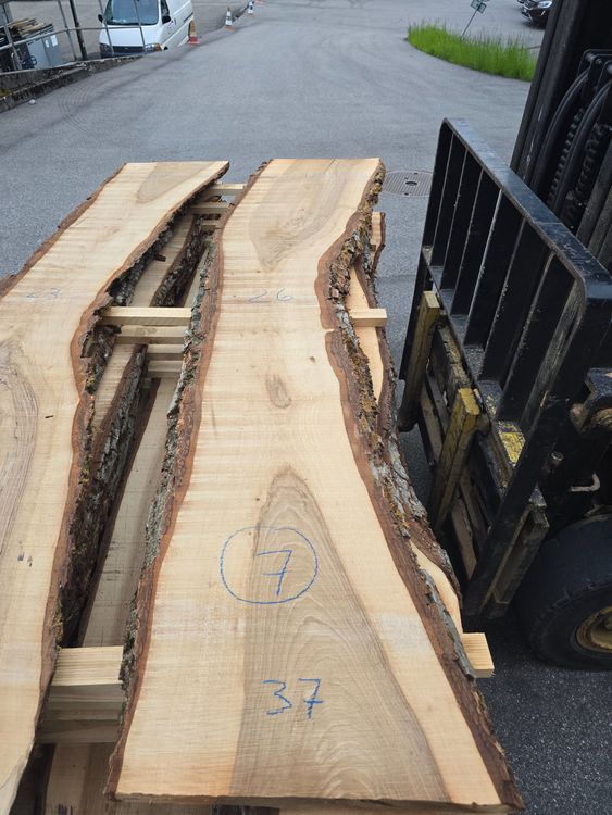 Articoli in legno: Nussbaumbrett Nr 7 – Nuovo (secondo la descrizione) da Lützelflüh-Goldb venduto da Waelchris