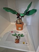 Lego Harry Potter: Zaubertrankpflanze, Alraune