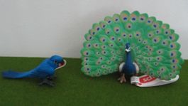 Neuwertige Schleich Figuren,  Pfau und blauer Ara