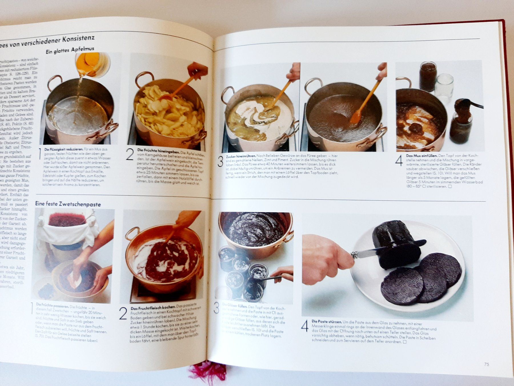 Libri: Konservieren Einkochen Anleitungen Rezepte – Usato da Flaach venduto da maj_w_ 3