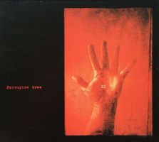 PORCUPINE TREE - XM