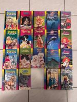 Lot de 19 livres en français