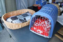 Transportbox und chörbli