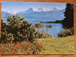 Thun-Gwatt, Schreckhörner, Eiger, Mönch, Jungfrau, Ansicht