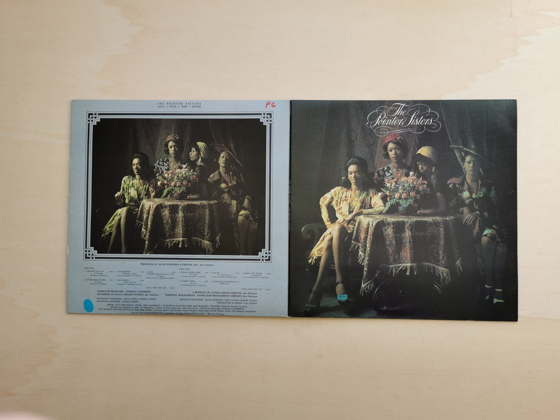 Dischi in vinile: The Pointer Sisters – The Pointer Sisters  D 73 – Usato da Ebikon venduto da kisuM 2