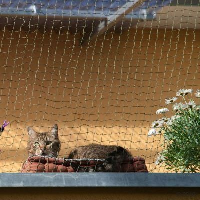 Gitter & Roste: Katzenschutznetz Katzengitter – Gebraucht aus Oetwil am See von fineli2 2
