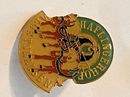 1 Pin Haflingerhof Algetshaussen