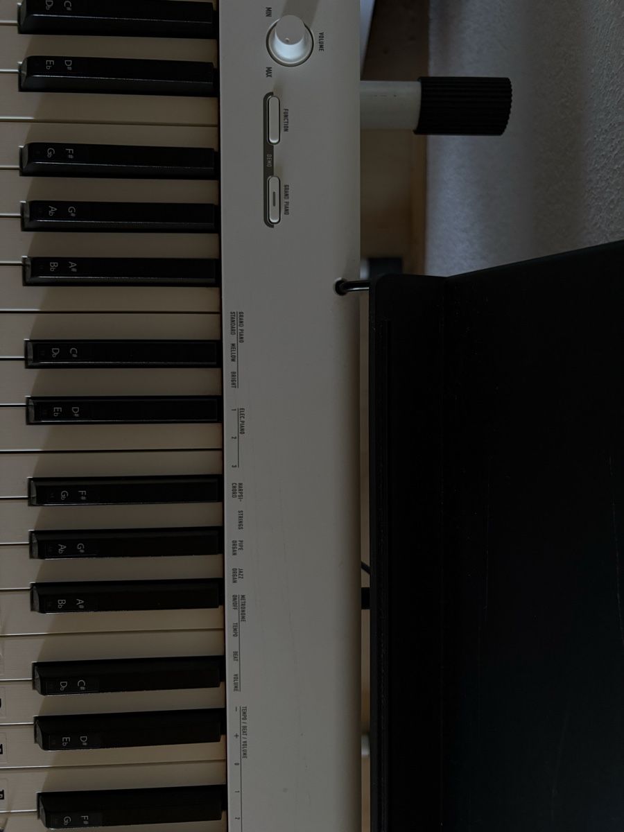 Casio Musikinstrumente: Casio E-Piano CDP-S110WE Weiss + Halterung ect. – Gebraucht aus Menznau von ali_5xw9 1