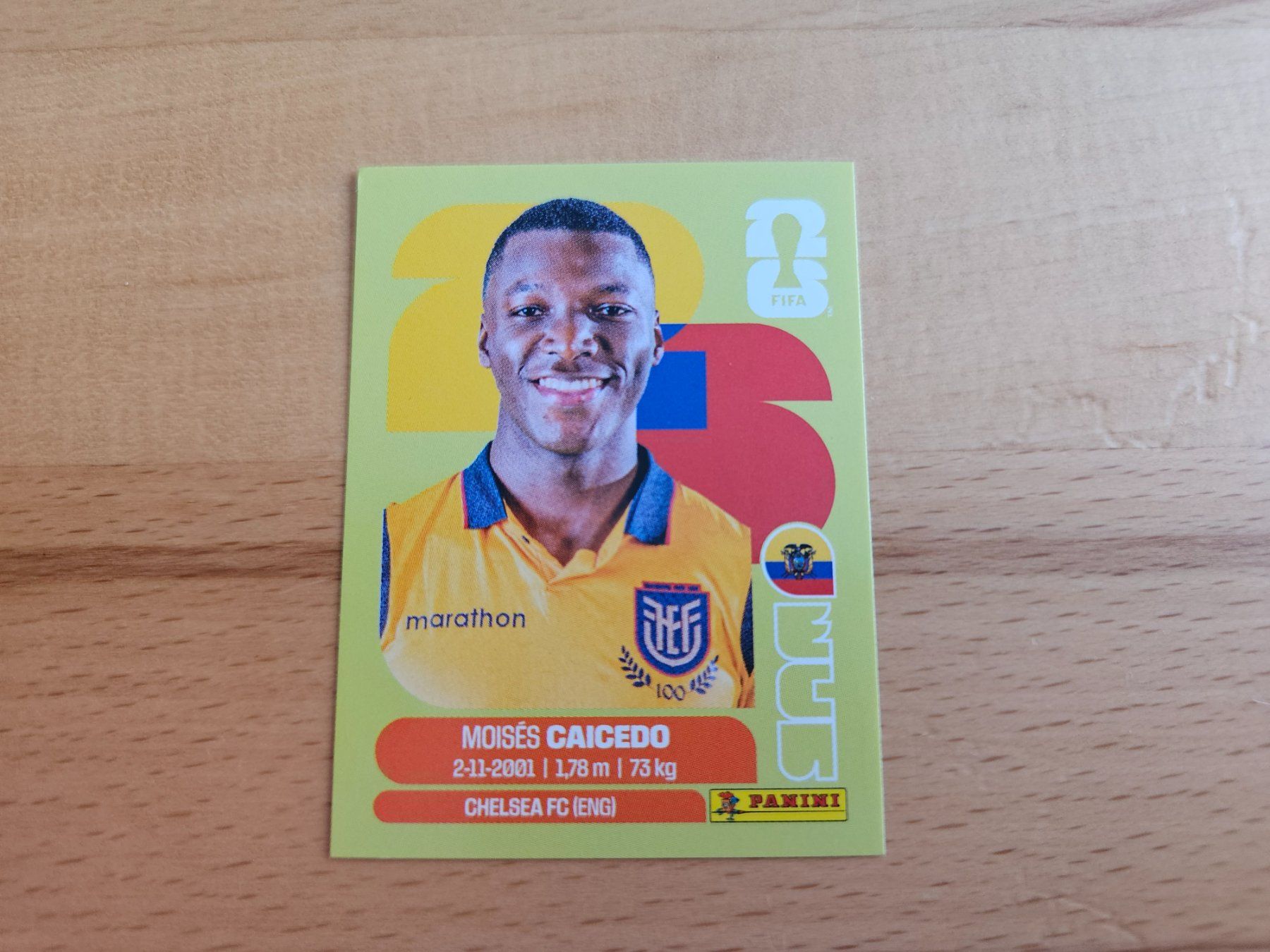 Panini Carte collezionabili: Panini WM 2026 ECU 9 – Nuovo (secondo la descrizione) da Winterthur venduto da melac