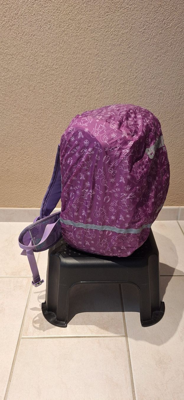 Ergobag Borse & Zaini: Ergobag Cubo Galaxy Glow - SchlittenzauBär 5-Teilig – Usato da Widen venduto da Cariff 9