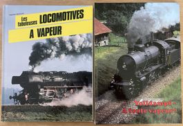 Züge Volldampf 2 Bücher / Trains A toute vapeur ! 2 livres