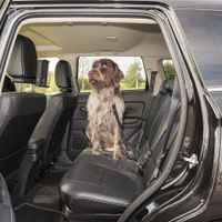 schwarz Hundeleine für Auto Hunde Sicherheitsgurt Transport