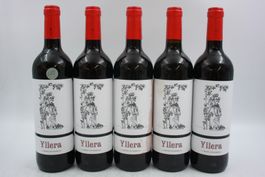 5x Yllera 12 Meses en Barrica 2018 (26092864Z)