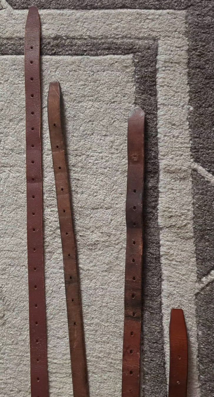 Briglie & Cavezze: Quatre longues sangles. – Usato da Cortaillod venduto da signep