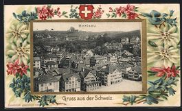 Herisau, Stadtansicht aus der Vogelschau
