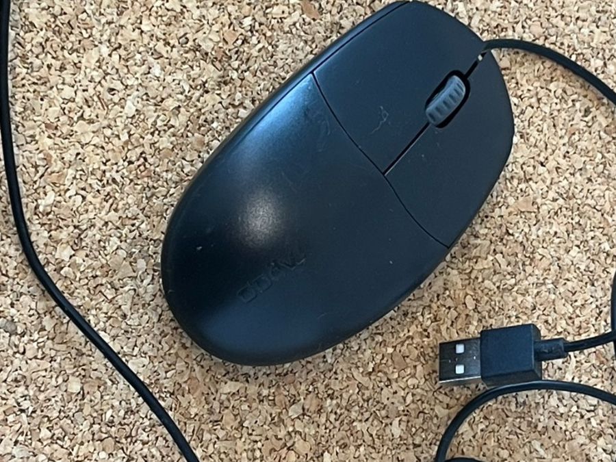 Rapoo Mouse: PC Maus Rapoo kabelgebunden neuwertig – Nuovo (secondo la descrizione) da Port venduto da stefankessel