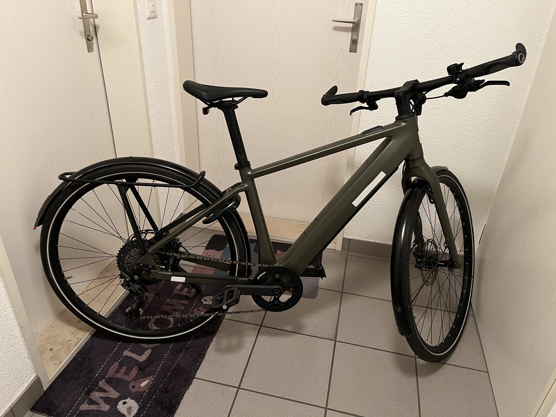Riese & Müller Vélos: Riese & Müller UBN V – Défectueux à Reinach BL par Amerbach 1