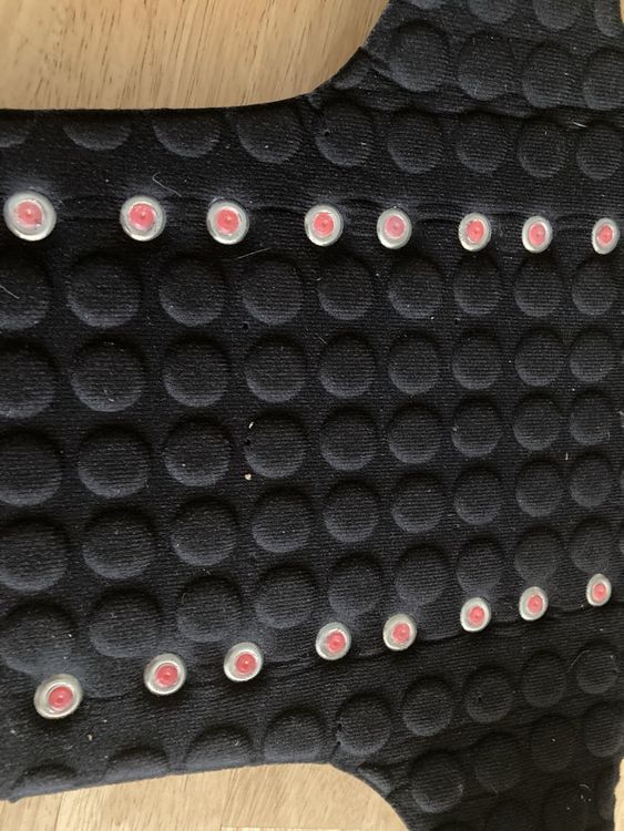Protections: Rückenprotektor DAINESE – D'occasion à Affoltern am Albis par rollotomasi 2